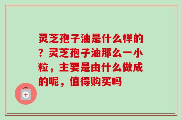 灵芝孢子油是什么样的？灵芝孢子油那么一小粒，主要是由什么做成的呢，值得购买吗-第1张图片-卓越灵芝孢子粉