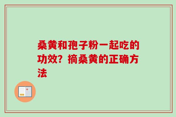 桑黄和孢子粉一起吃的功效?摘桑黄的正确方法-第1张图片-卓越灵芝孢子粉 桑黄和孢子粉一起吃的功效?摘桑黄的正确方法-第1张图片-卓越灵芝孢子粉