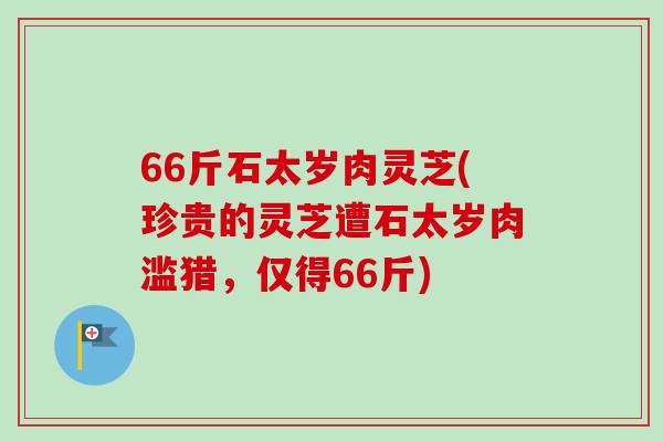 66斤石太岁肉灵芝(珍贵的灵芝遭石太岁肉滥猎,仅得66斤)-第1张图片-卓越灵芝孢子粉 66斤石太岁肉灵芝(珍贵的灵芝遭石太岁肉滥猎,仅得66斤)-第1张图片-卓越灵芝孢子粉