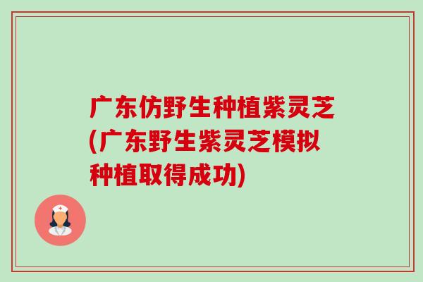 广东仿野生种植紫灵芝(广东野生紫灵芝模拟种植取得成功)-第1张图片-卓越灵芝孢子粉 广东仿野生种植紫灵芝(广东野生紫灵芝模拟种植取得成功)-第1张图片-卓越灵芝孢子粉