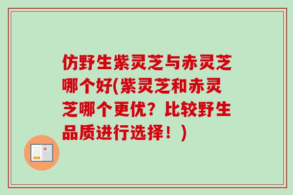 仿野生紫灵芝与赤灵芝哪个好(紫灵芝和赤灵芝哪个更优?比较野生品质进行选择!)-第1张图片-卓越灵芝孢子粉 仿野生紫灵芝与赤灵芝哪个好(紫灵芝和赤灵芝哪个更优?比较野生品质进行选择!)-第1张图片-卓越灵芝孢子粉