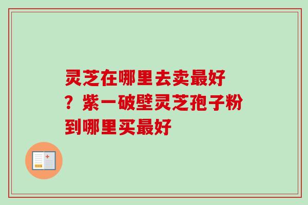 灵芝在哪里去卖最好 ?紫一破壁灵芝孢子粉到哪里买最好-第1张图片-卓越灵芝孢子粉 灵芝在哪里去卖最好 ?紫一破壁灵芝孢子粉到哪里买最好-第1张图片-卓越灵芝孢子粉