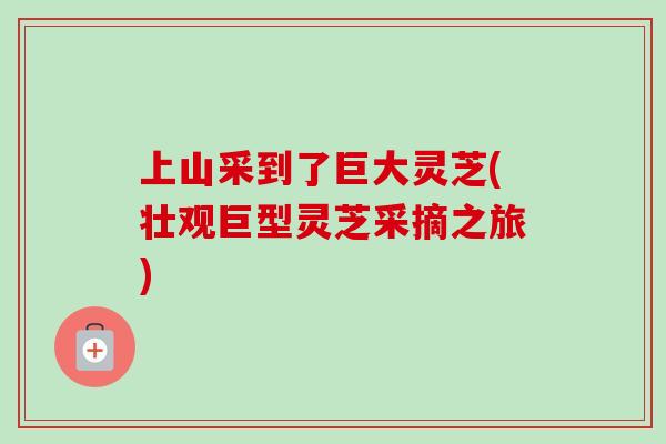 上山采到了巨大灵芝(壮观巨型灵芝采摘之旅)-第1张图片-卓越灵芝孢子粉 上山采到了巨大灵芝(壮观巨型灵芝采摘之旅)-第1张图片-卓越灵芝孢子粉