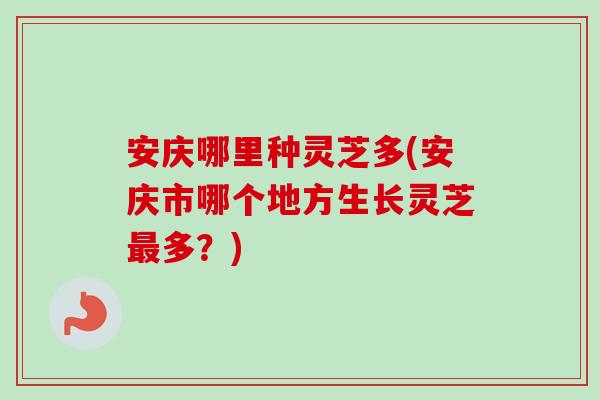安庆哪里种灵芝多(安庆市哪个地方生长灵芝最多?)-第1张图片-卓越灵芝孢子粉 安庆哪里种灵芝多(安庆市哪个地方生长灵芝最多?)-第1张图片-卓越灵芝孢子粉