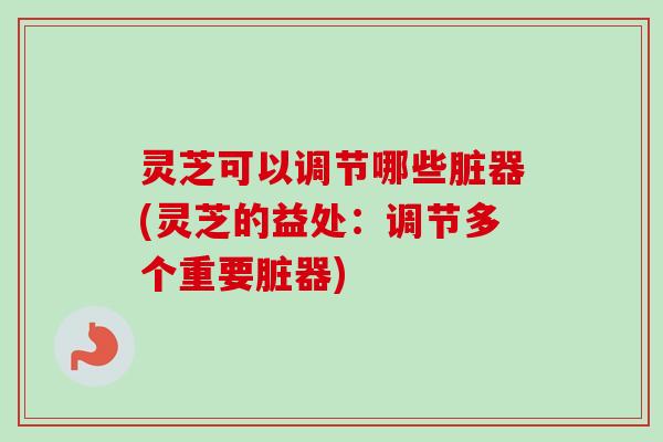 灵芝可以调节哪些脏器(灵芝的益处：调节多个重要脏器)-第1张图片-卓越灵芝孢子粉