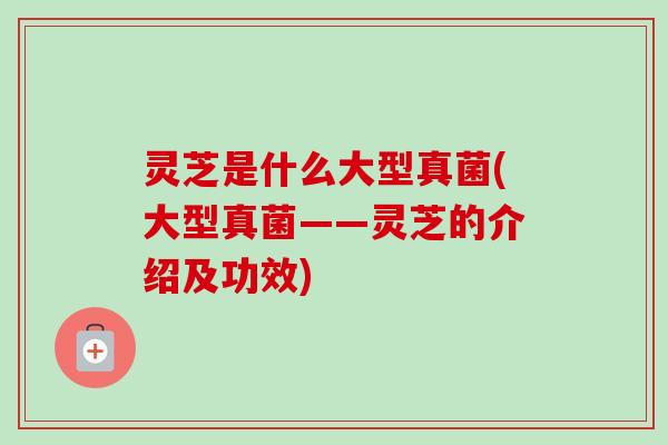 灵芝是什么大型真菌(大型真菌——灵芝的介绍及功效)-第1张图片-卓越灵芝孢子粉