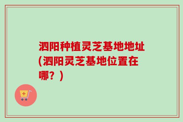 泗阳种植灵芝基地地址(泗阳灵芝基地位置在哪？)-第1张图片-卓越灵芝孢子粉