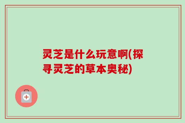 灵芝是什么玩意啊(探寻灵芝的草本奥秘)-第1张图片-卓越灵芝孢子粉