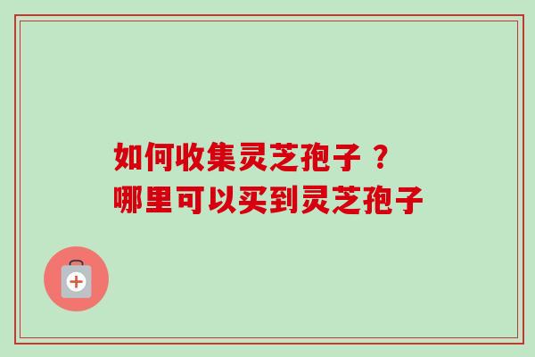 如何收集灵芝孢子 ?哪里可以买到灵芝孢子-第1张图片-卓越灵芝孢子粉 如何收集灵芝孢子 ?哪里可以买到灵芝孢子-第1张图片-卓越灵芝孢子粉