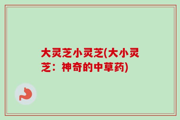 大灵芝小灵芝(大小灵芝：神奇的中草药)-第1张图片-卓越灵芝孢子粉