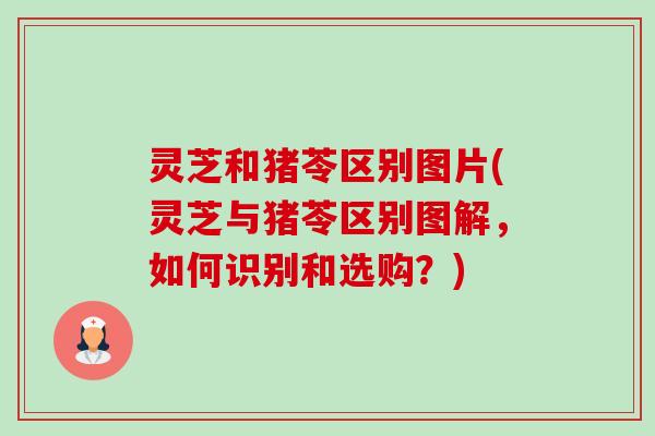 灵芝和猪苓区别图片(灵芝与猪苓区别图解，如何识别和选购？)-第1张图片-卓越灵芝孢子粉