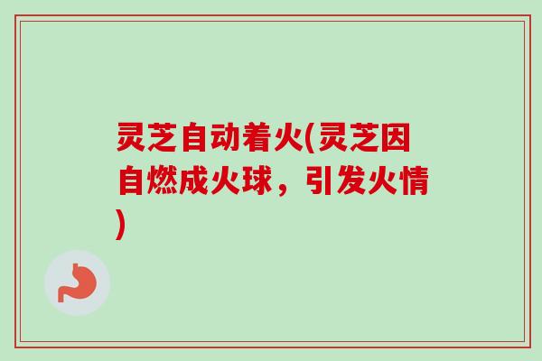 灵芝自动着火(灵芝因自燃成火球，引发火情)-第1张图片-卓越灵芝孢子粉