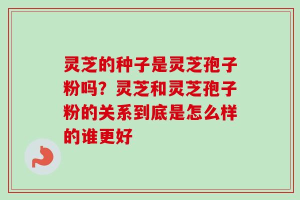灵芝的种子是灵芝孢子粉吗?灵芝和灵芝孢子粉的关系到底是怎么样的谁更好-第1张图片-卓越灵芝孢子粉 灵芝的种子是灵芝孢子粉吗?灵芝和灵芝孢子粉的关系到底是怎么样的谁更好-第1张图片-卓越灵芝孢子粉