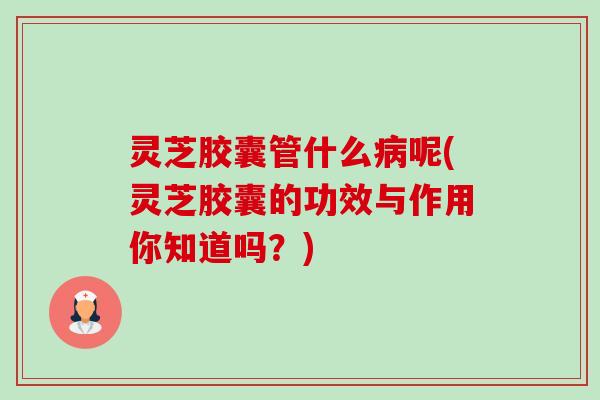 灵芝胶囊管什么病呢(灵芝胶囊的功效与作用你知道吗?)-第1张图片-卓越灵芝孢子粉 灵芝胶囊管什么病呢(灵芝胶囊的功效与作用你知道吗?)-第1张图片-卓越灵芝孢子粉