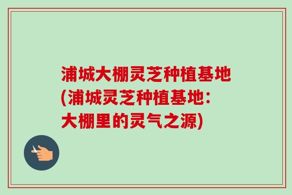 浦城大棚灵芝种植基地(浦城灵芝种植基地：大棚里的灵气之源)-第1张图片-卓越灵芝孢子粉