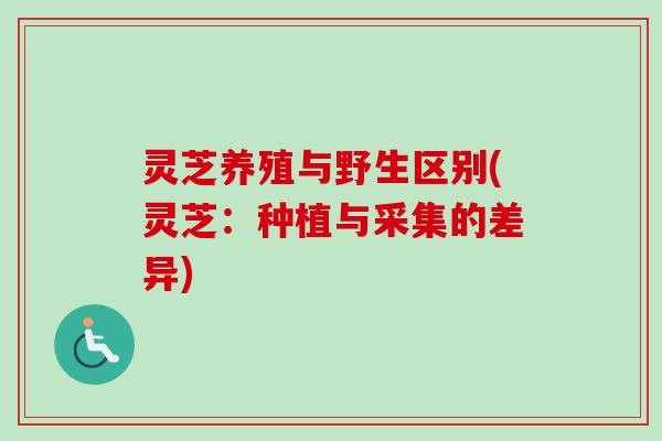 灵芝养殖与野生区别(灵芝：种植与采集的差异)-第1张图片-卓越灵芝孢子粉