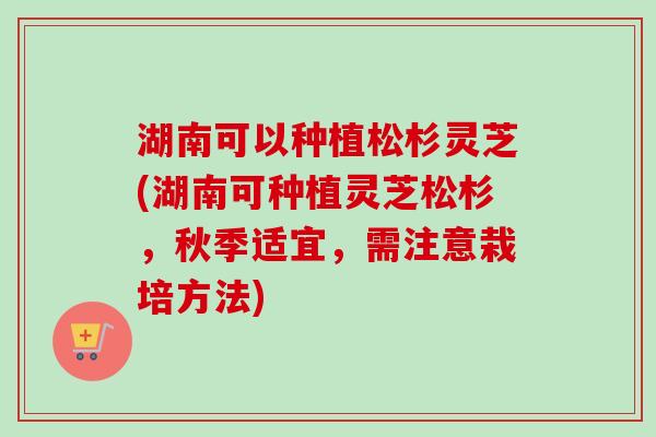 湖南可以种植松杉灵芝(湖南可种植灵芝松杉，秋季适宜，需注意栽培方法)-第1张图片-卓越灵芝孢子粉
