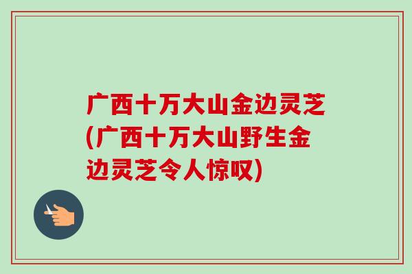 广西十万大山金边灵芝(广西十万大山野生金边灵芝令人惊叹)-第1张图片-卓越灵芝孢子粉 广西十万大山金边灵芝(广西十万大山野生金边灵芝令人惊叹)-第1张图片-卓越灵芝孢子粉