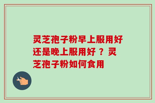 灵芝孢子粉早上服用好还是晚上服用好 ？灵芝孢子粉如何食用-第1张图片-卓越灵芝孢子粉