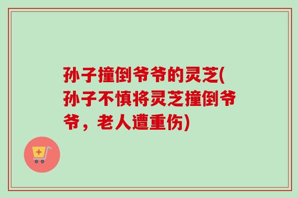 孙子撞倒爷爷的灵芝(孙子不慎将灵芝撞倒爷爷,老人遭重伤)-第1张图片-卓越灵芝孢子粉 孙子撞倒爷爷的灵芝(孙子不慎将灵芝撞倒爷爷,老人遭重伤)-第1张图片-卓越灵芝孢子粉