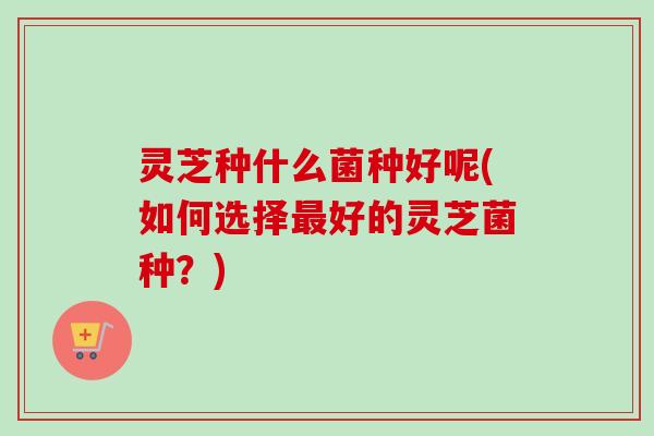 灵芝种什么菌种好呢(如何选择最好的灵芝菌种?)-第1张图片-卓越灵芝孢子粉 灵芝种什么菌种好呢(如何选择最好的灵芝菌种?)-第1张图片-卓越灵芝孢子粉