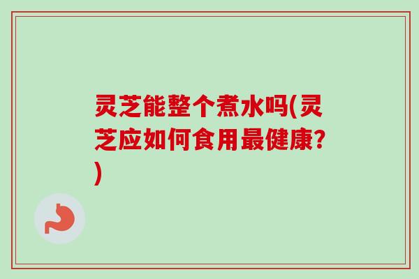 灵芝能整个煮水吗(灵芝应如何食用最健康?)-第1张图片-卓越灵芝孢子粉 灵芝能整个煮水吗(灵芝应如何食用最健康?)-第1张图片-卓越灵芝孢子粉