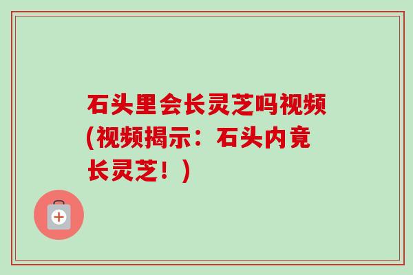 石头里会长灵芝吗视频(视频揭示：石头内竟长灵芝！)-第1张图片-卓越灵芝孢子粉