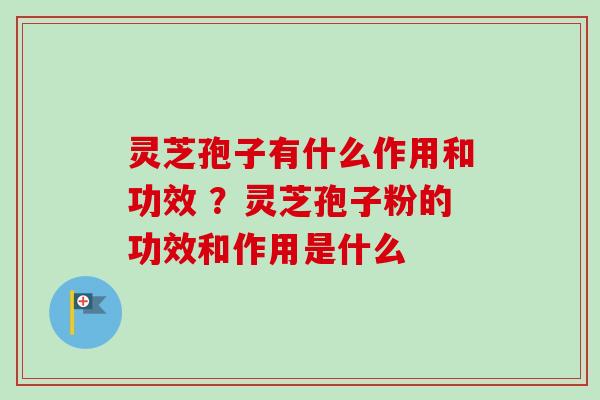 灵芝孢子有什么作用和功效 ？灵芝孢子粉的功效和作用是什么-第1张图片-卓越灵芝孢子粉