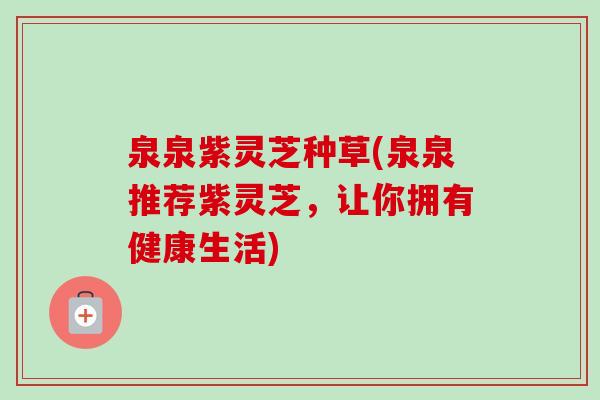 泉泉紫灵芝种草(泉泉推荐紫灵芝,让你拥有健康生活)-第1张图片-卓越灵芝孢子粉 泉泉紫灵芝种草(泉泉推荐紫灵芝,让你拥有健康生活)-第1张图片-卓越灵芝孢子粉