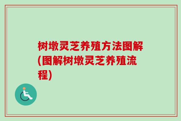 树墩灵芝养殖方法图解(图解树墩灵芝养殖流程)-第1张图片-卓越灵芝孢子粉 树墩灵芝养殖方法图解(图解树墩灵芝养殖流程)-第1张图片-卓越灵芝孢子粉