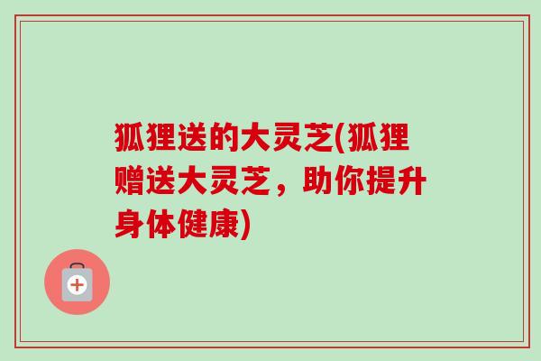 狐狸送的大灵芝(狐狸赠送大灵芝，助你提升身体健康)-第1张图片-卓越灵芝孢子粉