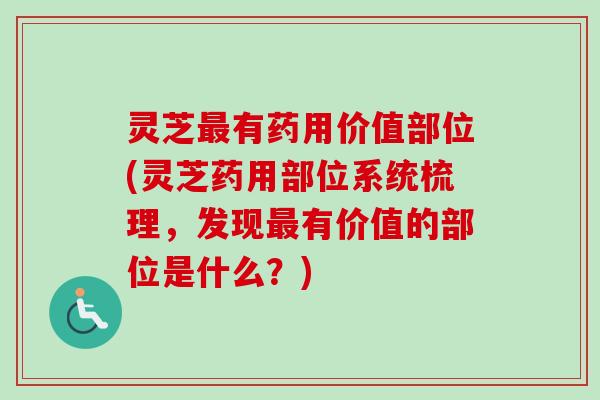 灵芝最有药用价值部位(灵芝药用部位系统梳理,发现最有价值的部位是什么?)-第1张图片-卓越灵芝孢子粉 灵芝最有药用价值部位(灵芝药用部位系统梳理,发现最有价值的部位是什么?)-第1张图片-卓越灵芝孢子粉