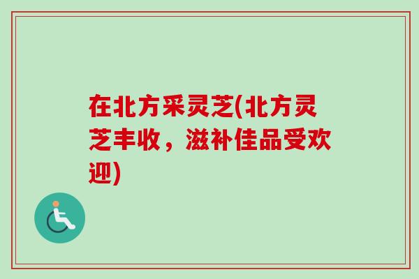 在北方采灵芝(北方灵芝丰收,滋补佳品受欢迎)-第1张图片-卓越灵芝孢子粉 在北方采灵芝(北方灵芝丰收,滋补佳品受欢迎)-第1张图片-卓越灵芝孢子粉