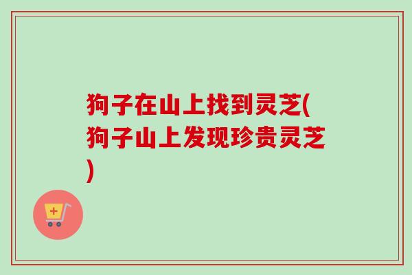 狗子在山上找到灵芝(狗子山上发现珍贵灵芝)-第1张图片-卓越灵芝孢子粉 狗子在山上找到灵芝(狗子山上发现珍贵灵芝)-第1张图片-卓越灵芝孢子粉
