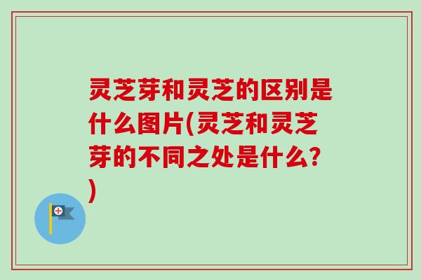 灵芝芽和灵芝的区别是什么图片(灵芝和灵芝芽的不同之处是什么?)-第1张图片-卓越灵芝孢子粉 灵芝芽和灵芝的区别是什么图片(灵芝和灵芝芽的不同之处是什么?)-第1张图片-卓越灵芝孢子粉