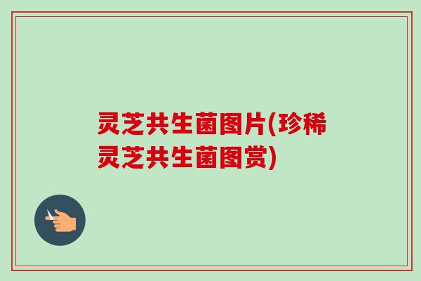 灵芝共生菌图片(珍稀灵芝共生菌图赏)-第1张图片-卓越灵芝孢子粉 灵芝共生菌图片(珍稀灵芝共生菌图赏)-第1张图片-卓越灵芝孢子粉