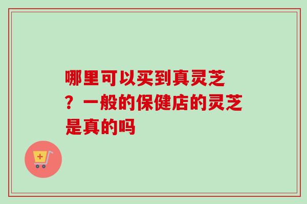 哪里可以买到真灵芝 ？一般的保健店的灵芝是真的吗-第1张图片-卓越灵芝孢子粉