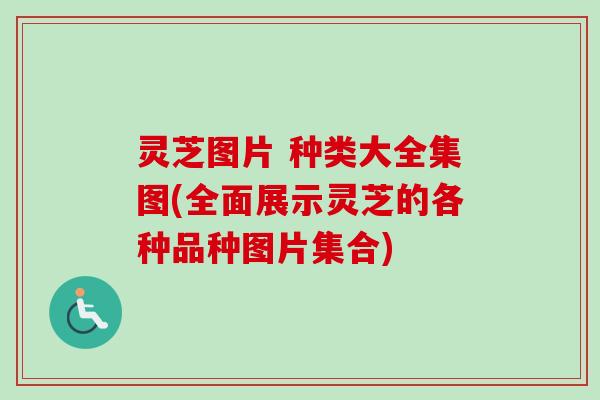 灵芝图片 种类大全集图(全面展示灵芝的各种品种图片集合)-第1张图片-卓越灵芝孢子粉 灵芝图片 种类大全集图(全面展示灵芝的各种品种图片集合)-第1张图片-卓越灵芝孢子粉