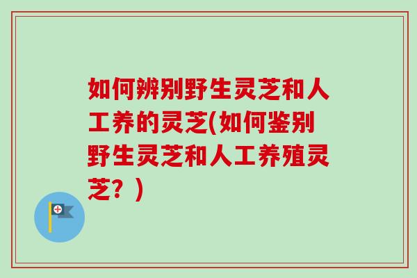 如何辨别野生灵芝和人工养的灵芝(如何鉴别野生灵芝和人工养殖灵芝？)-第1张图片-卓越灵芝孢子粉