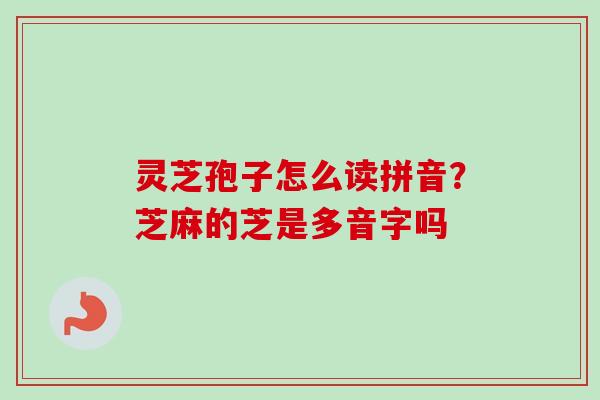 灵芝孢子怎么读拼音？芝麻的芝是多音字吗-第1张图片-卓越灵芝孢子粉