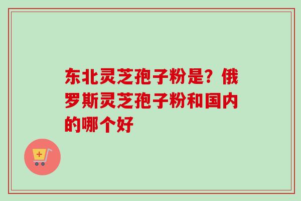 东北灵芝孢子粉是?俄罗斯灵芝孢子粉和国内的哪个好-第1张图片-卓越灵芝孢子粉 东北灵芝孢子粉是?俄罗斯灵芝孢子粉和国内的哪个好-第1张图片-卓越灵芝孢子粉