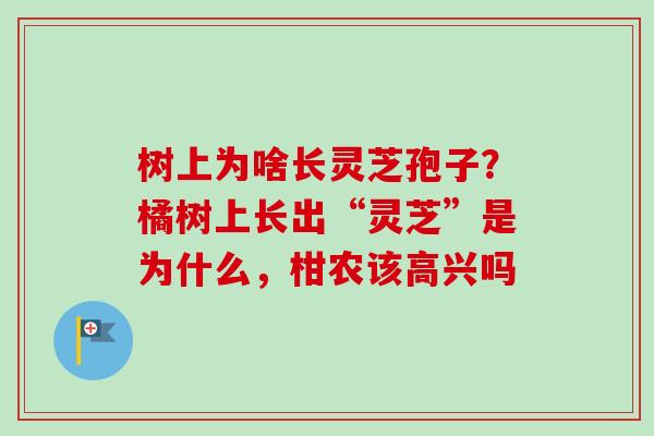 树上为啥长灵芝孢子？橘树上长出“灵芝”是为什么，柑农该高兴吗-第1张图片-卓越灵芝孢子粉