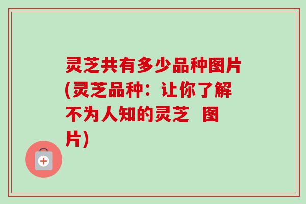 灵芝共有多少品种图片(灵芝品种:让你了解不为人知的灵芝 图片)-第1张图片-卓越灵芝孢子粉 灵芝共有多少品种图片(灵芝品种:让你了解不为人知的灵芝 图片)-第1张图片-卓越灵芝孢子粉