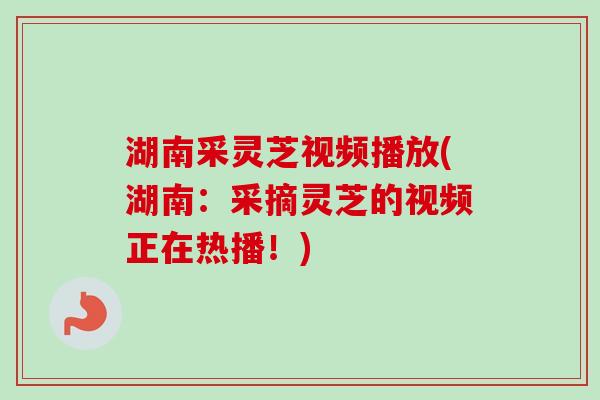 湖南采灵芝视频播放(湖南:采摘灵芝的视频正在热播!)-第1张图片-卓越灵芝孢子粉 湖南采灵芝视频播放(湖南:采摘灵芝的视频正在热播!)-第1张图片-卓越灵芝孢子粉