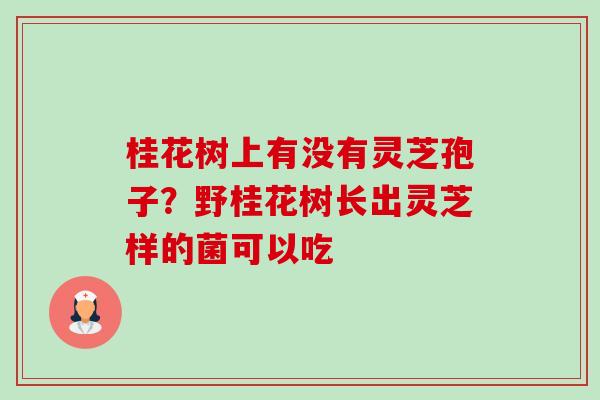桂花树上有没有灵芝孢子?野桂花树长出灵芝样的菌可以吃-第1张图片-卓越灵芝孢子粉 桂花树上有没有灵芝孢子?野桂花树长出灵芝样的菌可以吃-第1张图片-卓越灵芝孢子粉