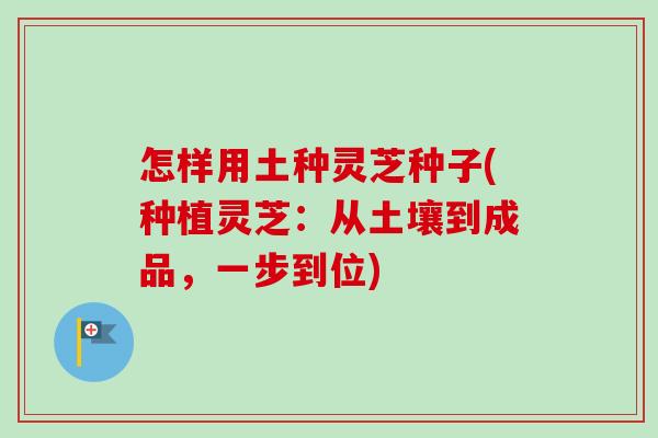 怎样用土种灵芝种子(种植灵芝:从土壤到成品,一步到位)-第1张图片-卓越灵芝孢子粉 怎样用土种灵芝种子(种植灵芝:从土壤到成品,一步到位)-第1张图片-卓越灵芝孢子粉