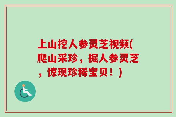 上山挖人参灵芝视频(爬山采珍,掘人参灵芝,惊现珍稀宝贝!)-第1张图片-卓越灵芝孢子粉 上山挖人参灵芝视频(爬山采珍,掘人参灵芝,惊现珍稀宝贝!)-第1张图片-卓越灵芝孢子粉