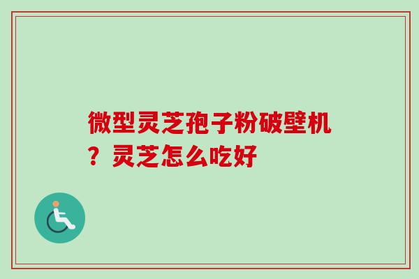 微型灵芝孢子粉破壁机?灵芝怎么吃好-第1张图片-卓越灵芝孢子粉 微型灵芝孢子粉破壁机?灵芝怎么吃好-第1张图片-卓越灵芝孢子粉
