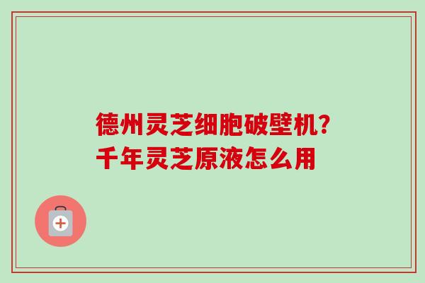 德州灵芝细胞破壁机？千年灵芝原液怎么用-第1张图片-卓越灵芝孢子粉