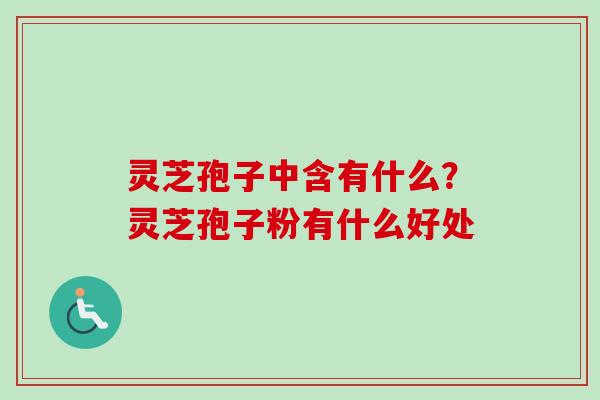 灵芝孢子中含有什么?灵芝孢子粉有什么好处-第1张图片-卓越灵芝孢子粉 灵芝孢子中含有什么?灵芝孢子粉有什么好处-第1张图片-卓越灵芝孢子粉